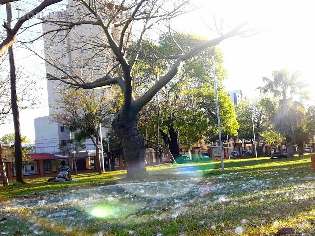 Parque Urbano Central